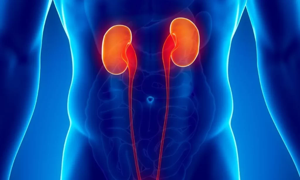 همه چیز درباره درد بیضه