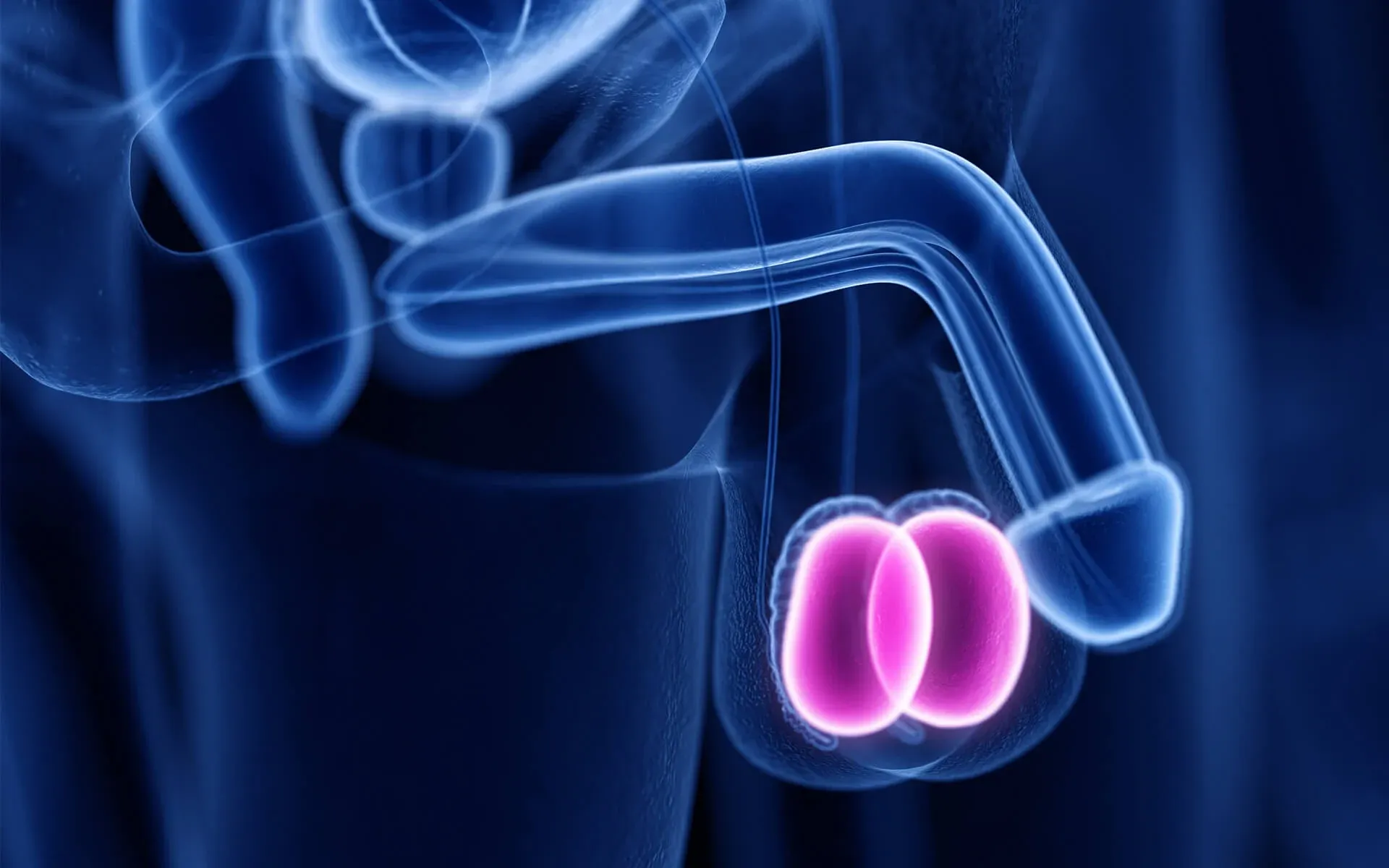 همه چیز درباره درد بیضه